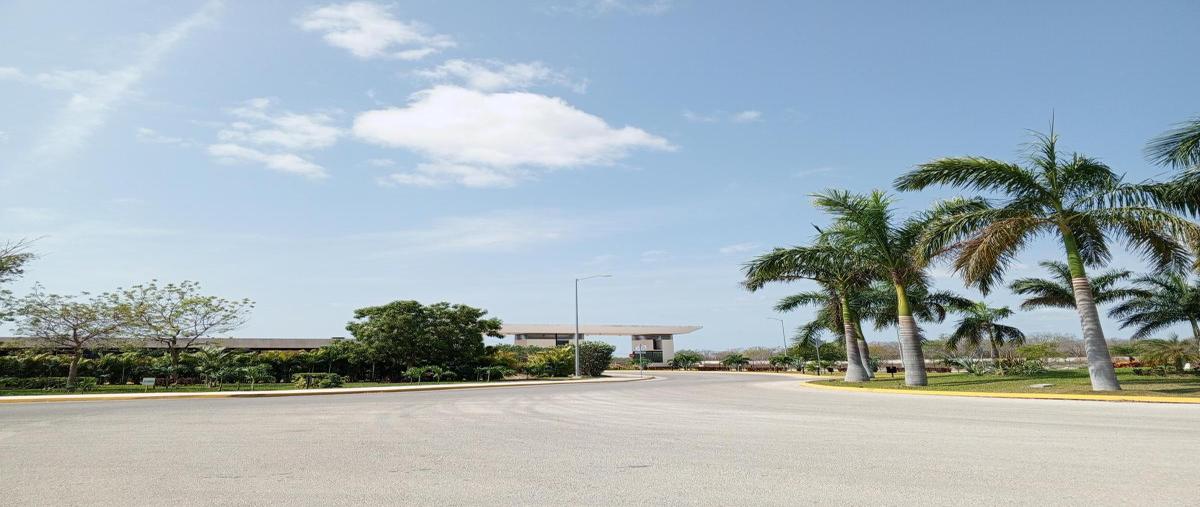 Foto de terreno industrial en venta en  , ucu, ucú, yucatán, 0 No. 03