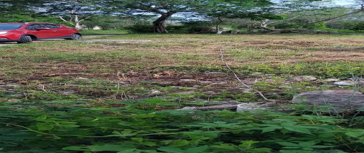 Foto de terreno habitacional en venta en  , ucu, ucú, yucatán, 28432907 No. 03