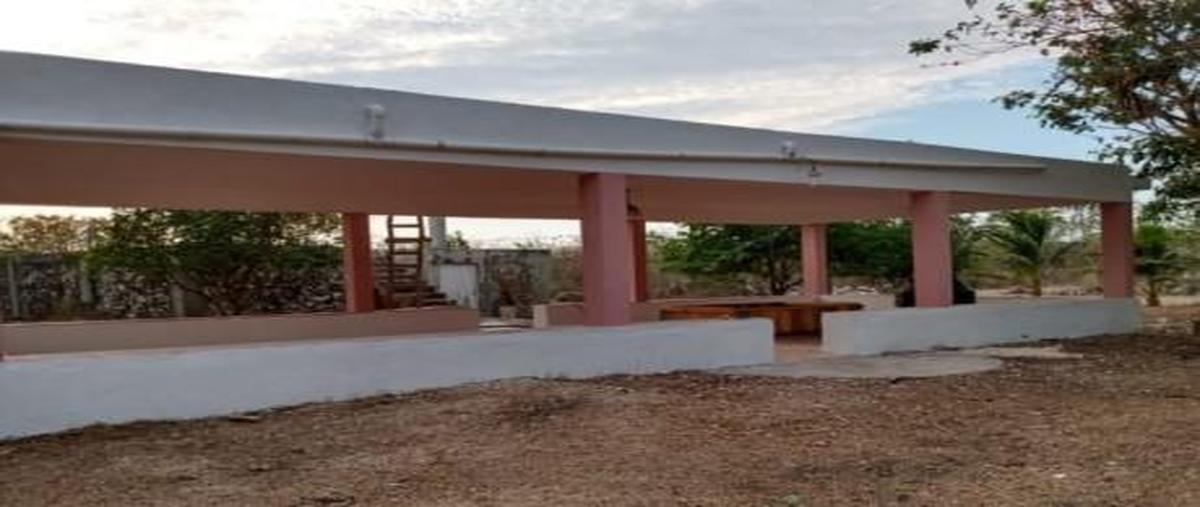 Foto de terreno habitacional en venta en  , ucu, ucú, yucatán, 0 No. 05
