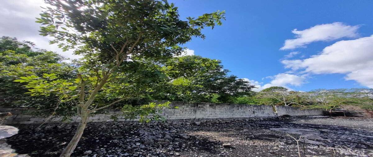 Foto de terreno habitacional en venta en  , ucu, ucú, yucatán, 0 No. 03