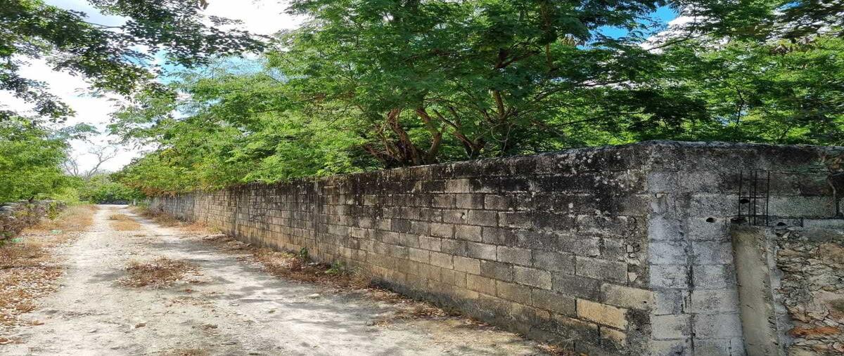 Foto de terreno habitacional en venta en  , ucu, ucú, yucatán, 0 No. 04