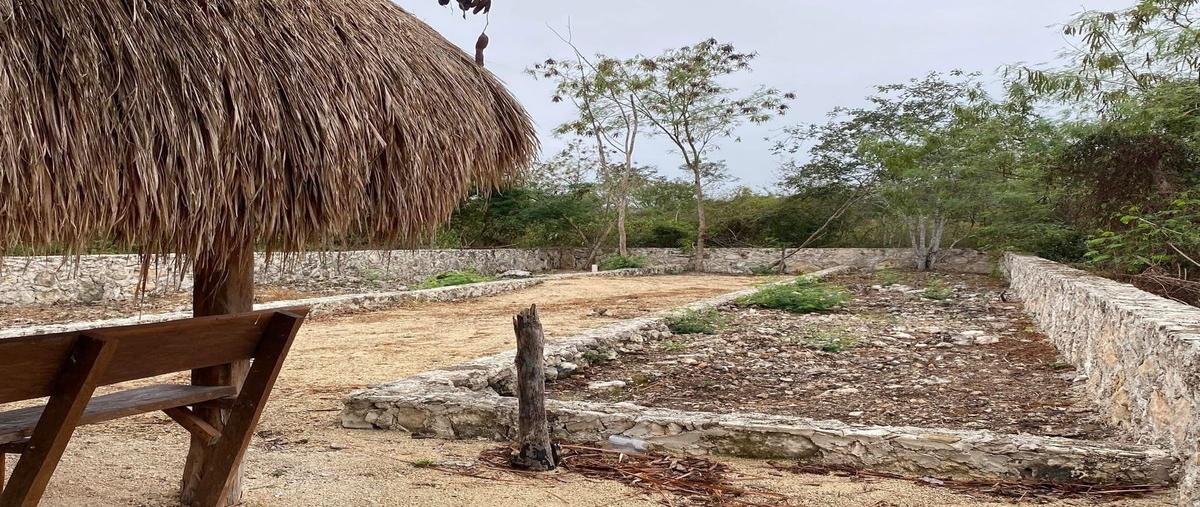 Foto de terreno habitacional en , ucu, ucú, yucatán, 0 foto 03 Foto de terreno habitacional en venta en , ucu, ucú, yucatán, 0 No. 03