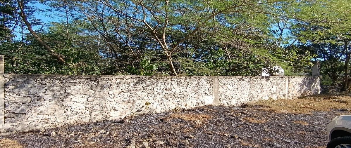 Foto de terreno habitacional en venta en  , ucu, ucú, yucatán, 0 No. 03