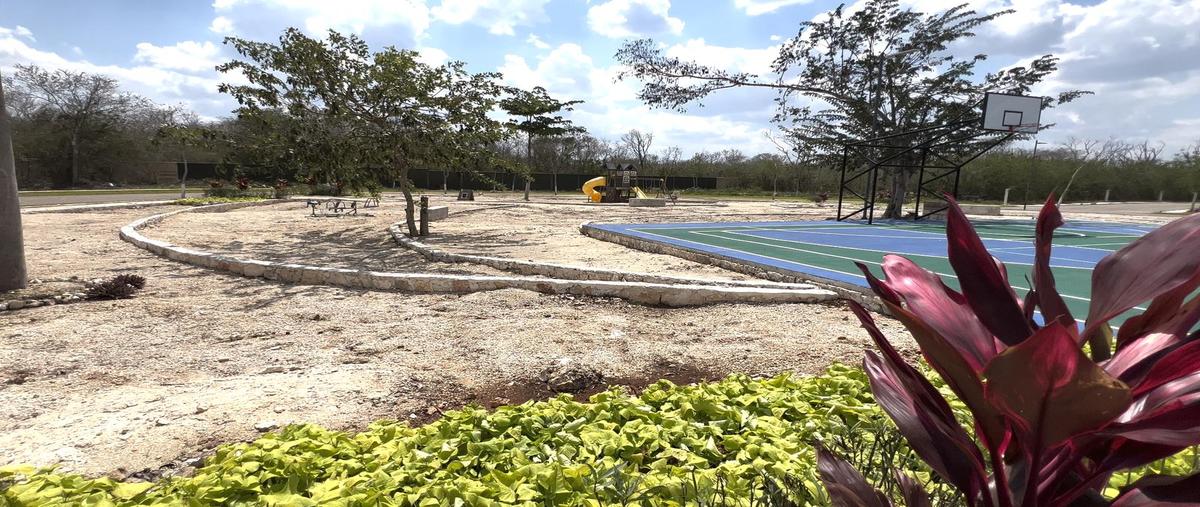 Foto de terreno habitacional en venta en  , ucu, ucú, yucatán, 30478752 No. 05