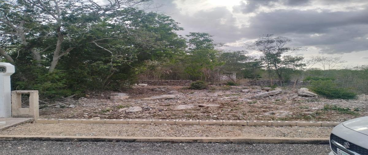 Foto de terreno habitacional en , ucu, ucú, yucatán, 0 foto 01 Foto de terreno habitacional en venta en , ucu, ucú, yucatán, 0 No. 01
