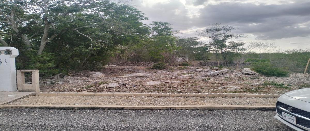 Foto de terreno habitacional en , ucu, ucú, yucatán, 0 foto 02 Foto de terreno habitacional en venta en , ucu, ucú, yucatán, 0 No. 02