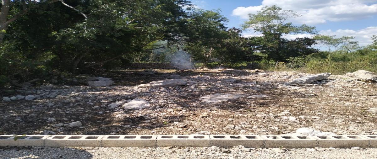 Foto de terreno habitacional en , ucu, ucú, yucatán, 0 foto 03 Foto de terreno habitacional en venta en , ucu, ucú, yucatán, 0 No. 03