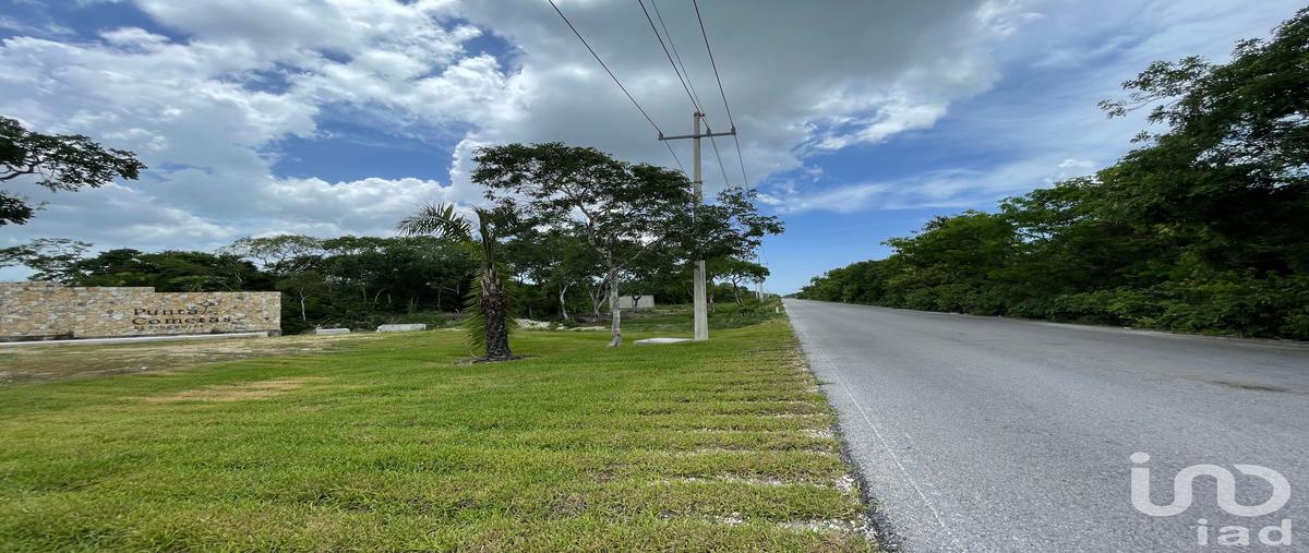 Foto de terreno habitacional en venta en . , ucu, ucú, yucatán, 0 No. 05