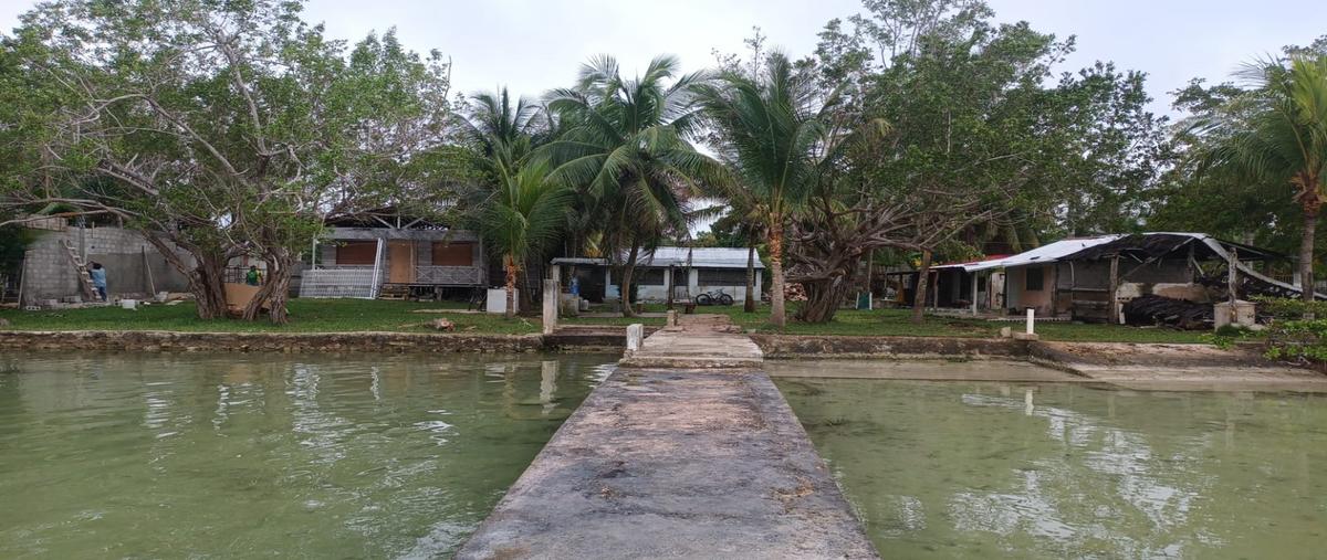 Foto de terreno habitacional en venta en  , ucum, othón p. blanco, quintana roo, 27113372 No. 03