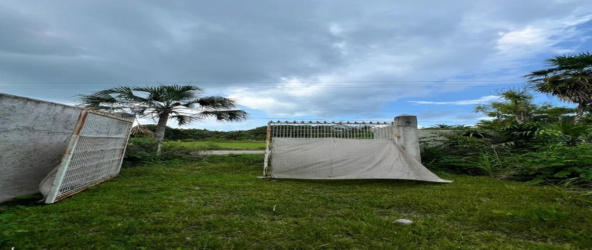 Foto de terreno habitacional en venta en  , ucum, othón p. blanco, quintana roo, 27113372 No. 05