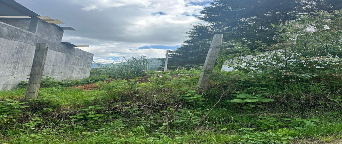Foto de terreno habitacional en ultima calle de la explanada del carmen , explanada del carmen, san cristóbal de las casas, chiapas, 0 foto 05 Foto de terreno habitacional en venta en ultima calle de la explanada del carmen , explanada del carmen, san cristóbal de las casas, chiapas, 0 No. 05