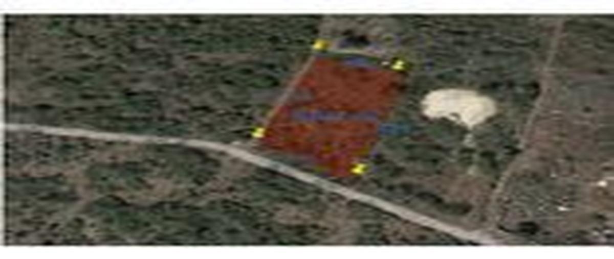 Foto de terreno habitacional en venta en umán , centro umán, umán, yucatán, 0 No. 03