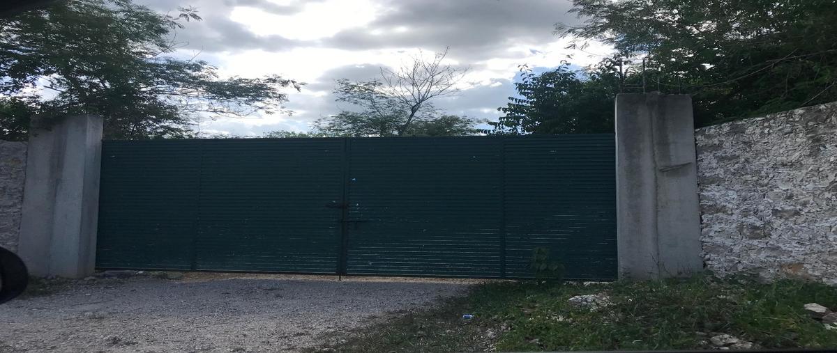 Foto de terreno habitacional en unidad habitacional ricardo flores magon whi300161, unidad habitacional ricardo flores magón, mérida, yucatán, 0 foto 01 Foto de terreno habitacional en venta en unidad habitacional ricardo flores magon whi300161, unidad habitacional ricardo flores magón, mérida, yucatán, 0 No. 01