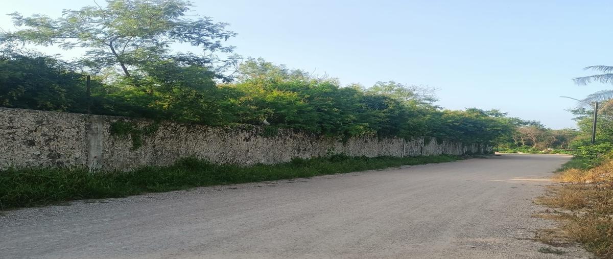 Foto de terreno habitacional en unidad habitacional ricardo flores magon whi300161, unidad habitacional ricardo flores magón, mérida, yucatán, 0 foto 02 Foto de terreno habitacional en venta en unidad habitacional ricardo flores magon whi300161, unidad habitacional ricardo flores magón, mérida, yucatán, 0 No. 02