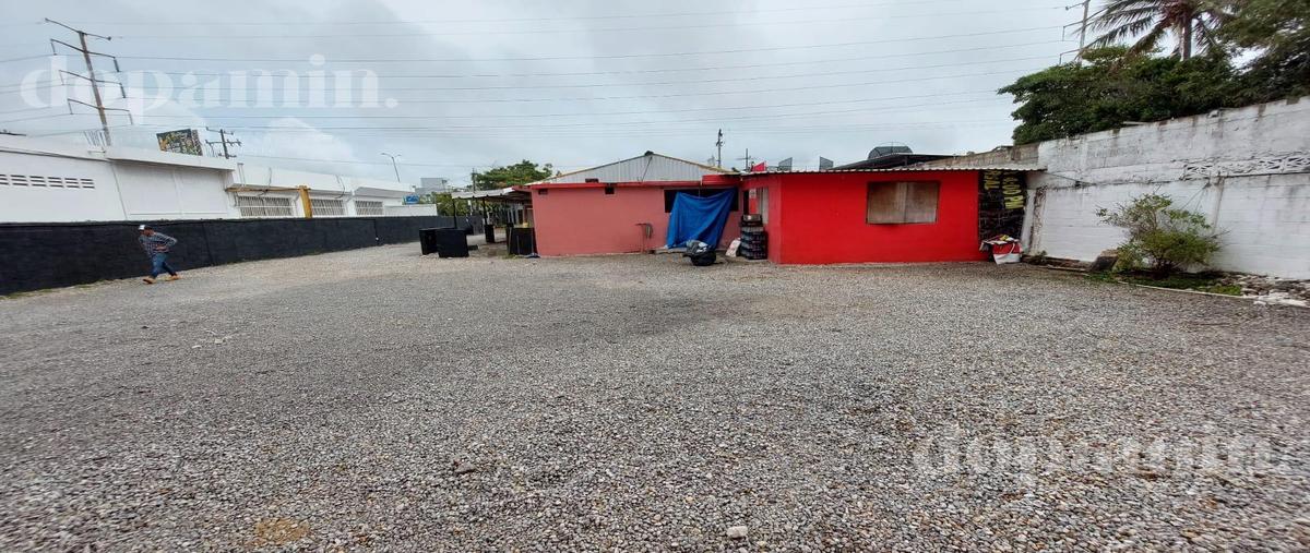 Foto de local en renta en  , unidad nacional, ciudad madero, tamaulipas, 0 No. 03