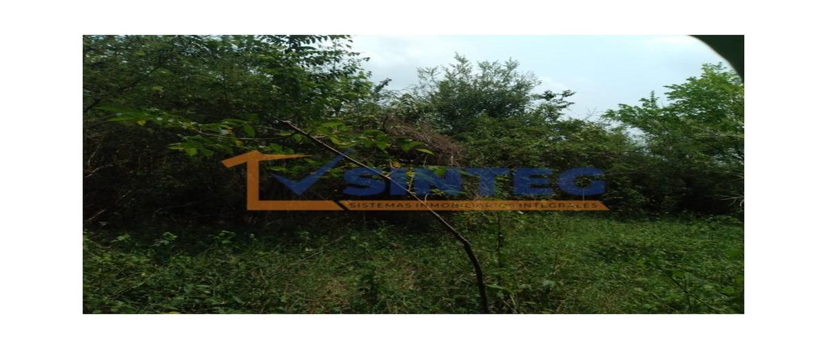 Foto de terreno habitacional en venta en  , unidad y trabajo, papantla, veracruz de ignacio de la llave, 0 No. 03