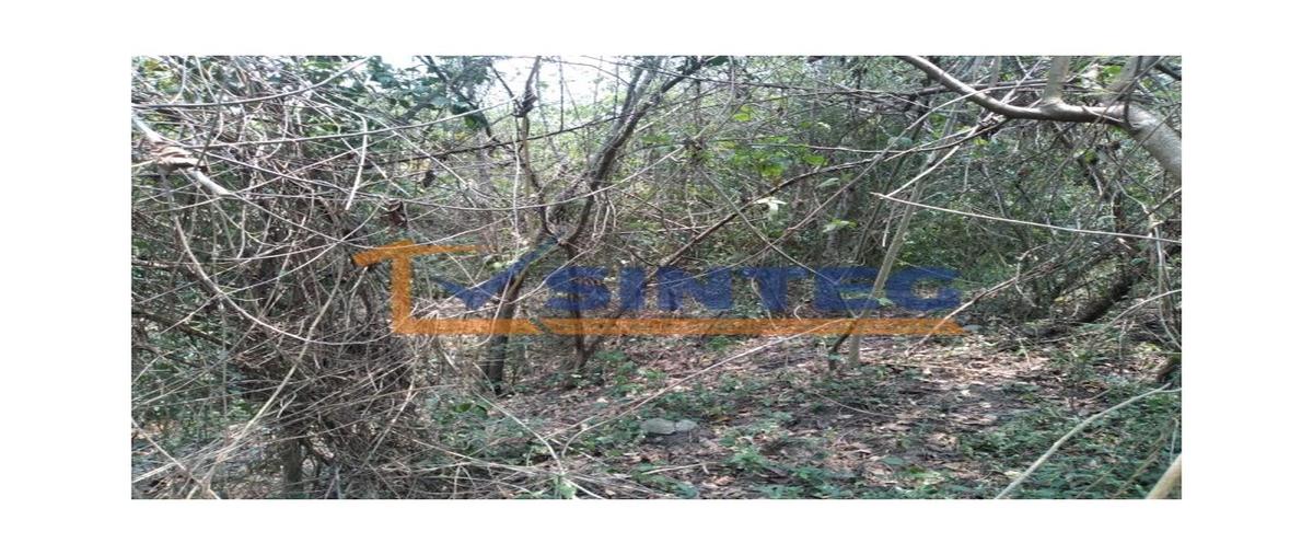 Foto de terreno habitacional en venta en  , unidad y trabajo, papantla, veracruz de ignacio de la llave, 0 No. 04