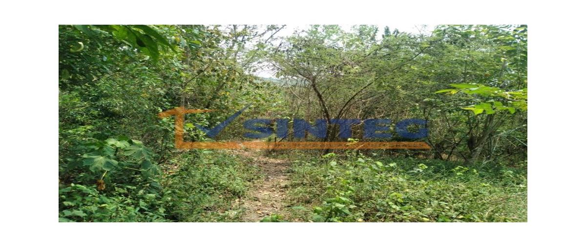 Foto de terreno habitacional en venta en  , unidad y trabajo, papantla, veracruz de ignacio de la llave, 0 No. 05