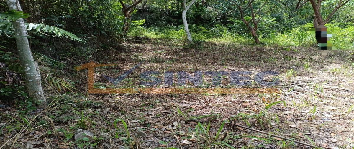 Foto de terreno habitacional en venta en  , unidad y trabajo, papantla, veracruz de ignacio de la llave, 0 No. 04