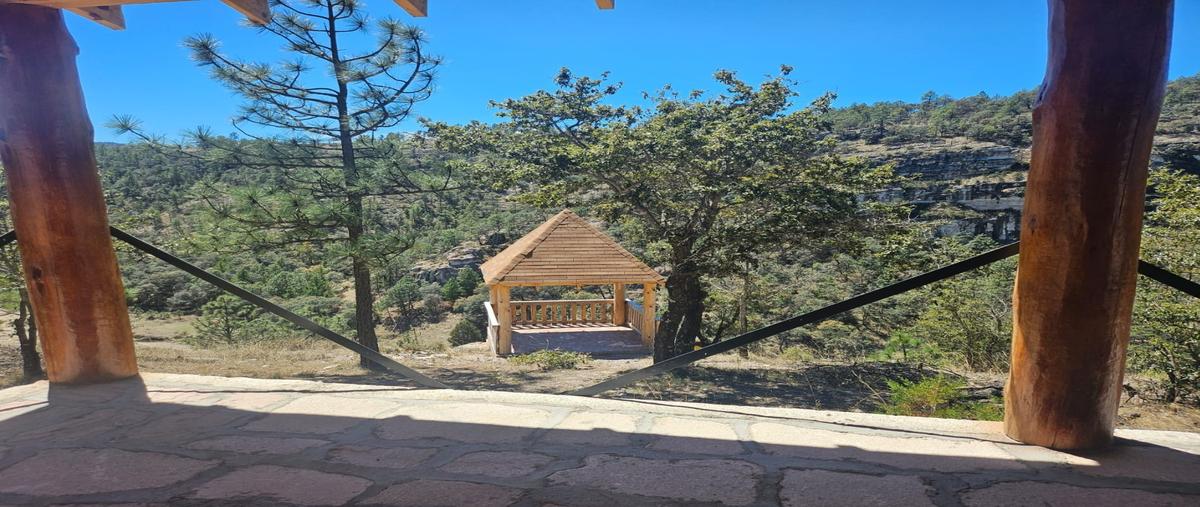 Foto de terreno habitacional en venta en  , unidos venceremos, durango, durango, 31536930 No. 03
