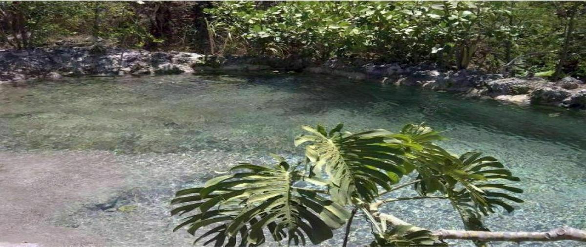 Foto de casa en uninajab , san francisco, comitán de domínguez, chiapas, 20819395 foto 04 Foto de casa en venta en uninajab , san francisco, comitán de domínguez, chiapas, 20819395 No. 04