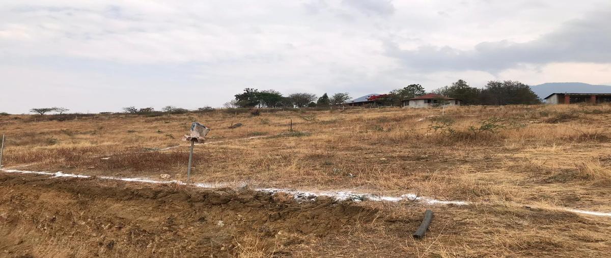 Foto de terreno habitacional en venta en unión , san andres huayapam, san andrés huayápam, oaxaca, 28464342 No. 03
