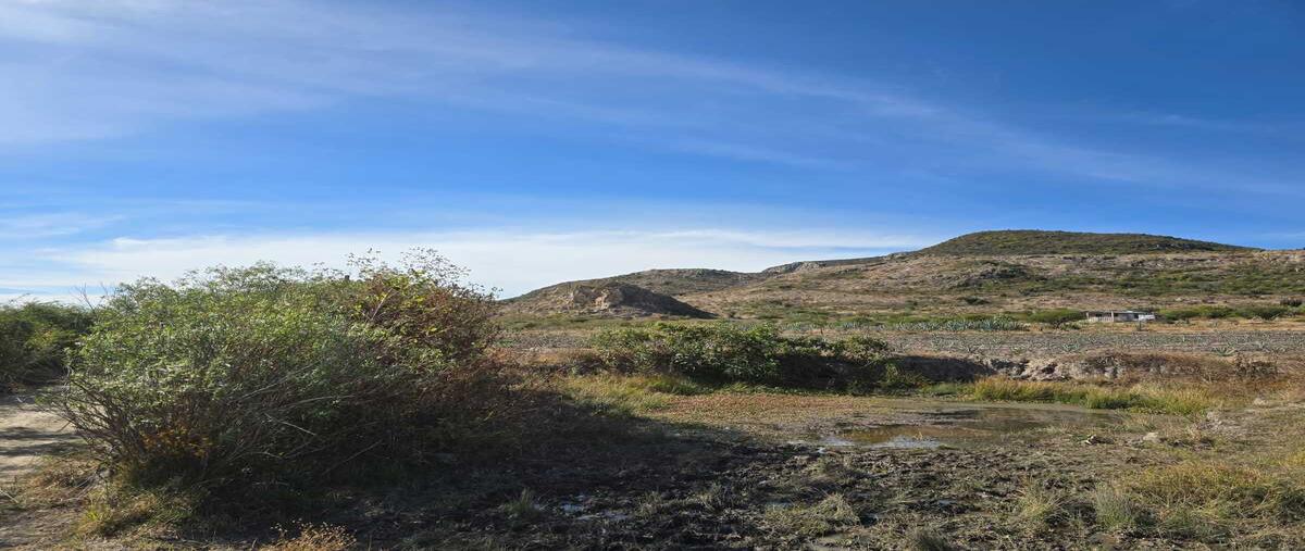 Foto de terreno comercial en venta en  , unión zapata, san pablo villa de mitla, oaxaca, 0 No. 04