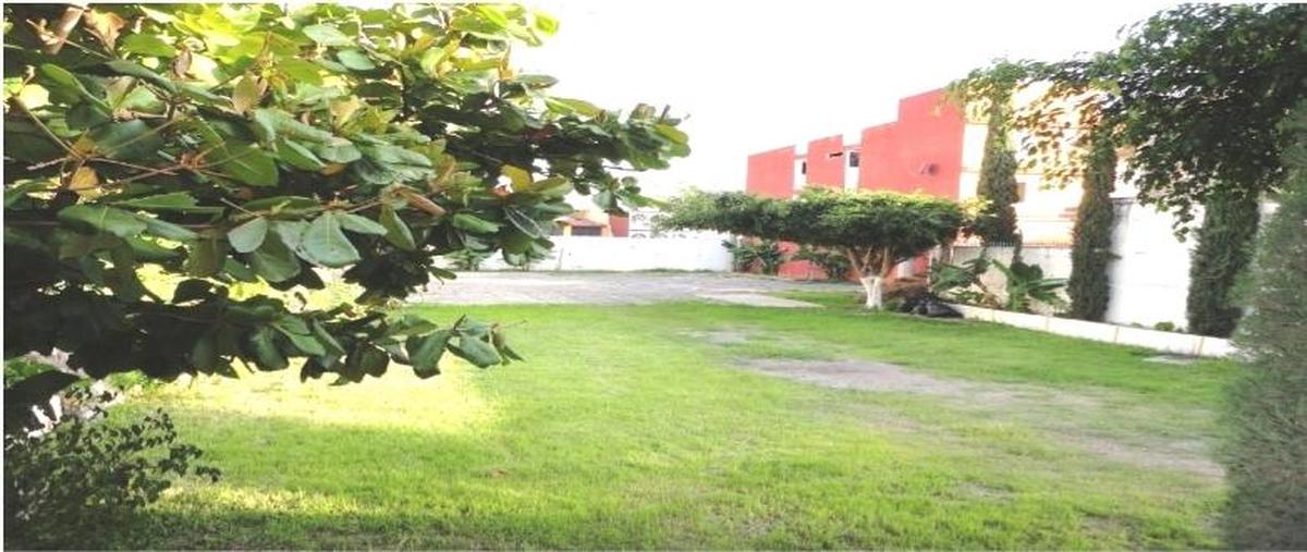 Foto de local en venta en  , universal, chilpancingo de los bravo, guerrero, 24677905 No. 05