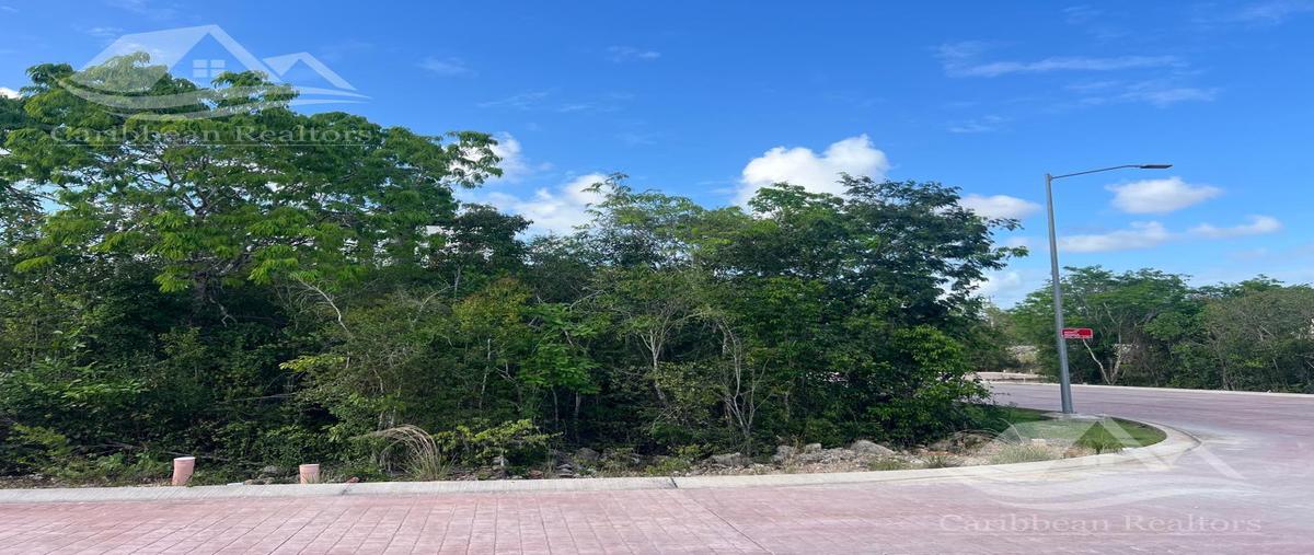 Foto de terreno habitacional en , universidad anáhuac de cancún, benito juárez, quintana roo, 31076654 foto 03 Foto de terreno habitacional en venta en , universidad anáhuac de cancún, benito juárez, quintana roo, 31076654 No. 03
