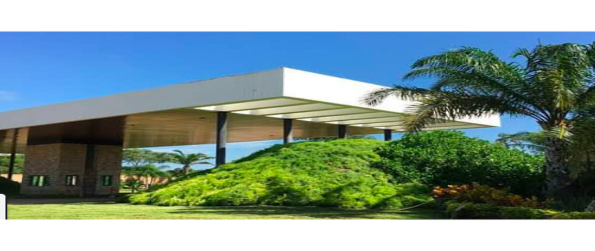 Foto de terreno habitacional en venta en  , universidad del mayab, mérida, yucatán, 25461769 No. 03