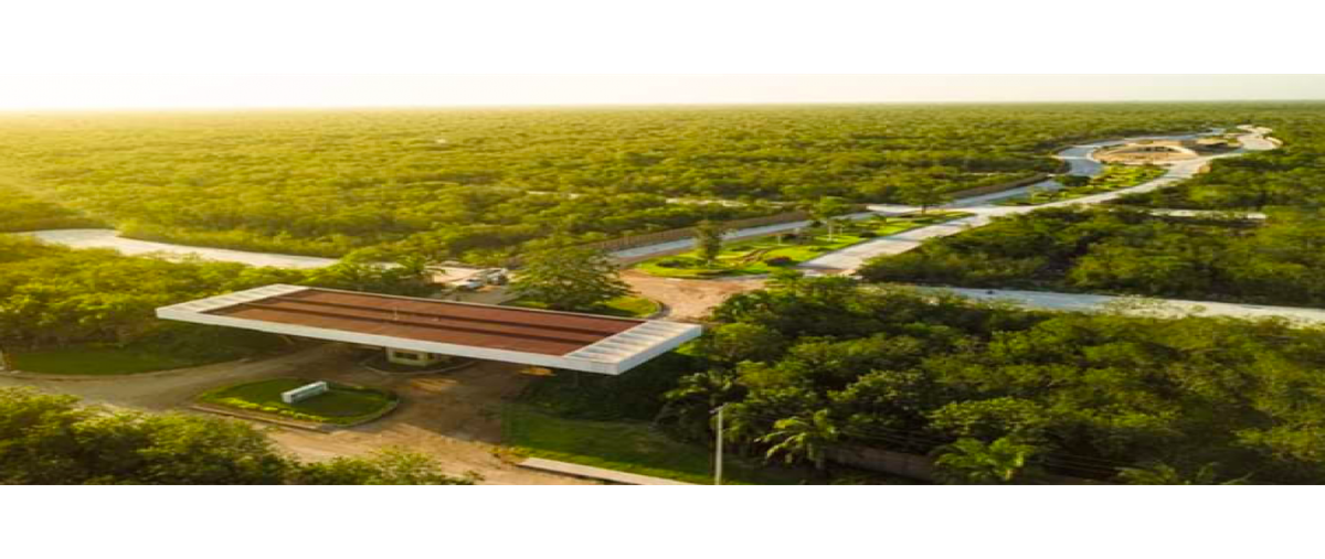 Foto de terreno habitacional en venta en  , universidad del mayab, mérida, yucatán, 25461769 No. 04