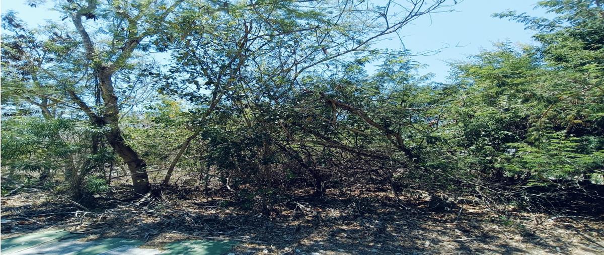 Foto de terreno habitacional en venta en  , universidad del mayab, mérida, yucatán, 0 No. 03