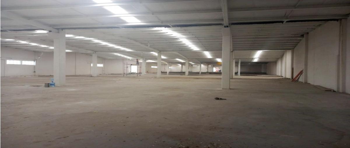Foto de bodega en , universidad, saltillo, coahuila de zaragoza, 27552499 foto 04 Foto de bodega en renta en , universidad, saltillo, coahuila de zaragoza, 27552499 No. 04