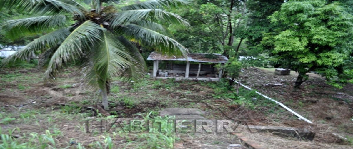 Foto de casa en venta en  , universitaria, tuxpan, veracruz de ignacio de la llave, 20549063 No. 03