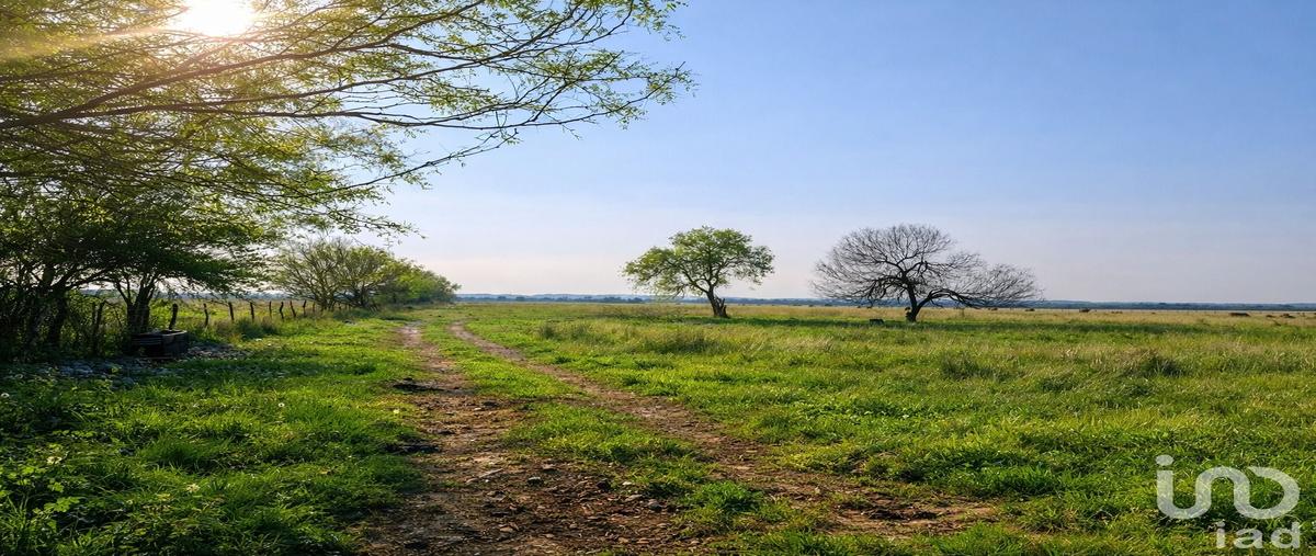 Foto de terreno comercial en venta en uno , campestre bosque real, montemorelos, nuevo leÃ³n, 31439152 No. 03