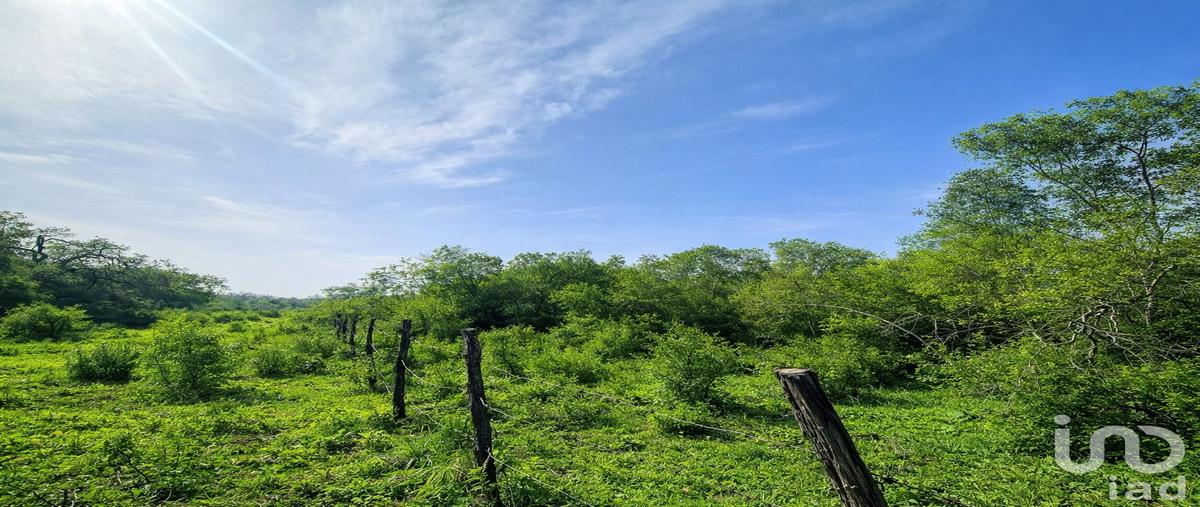 Foto de terreno comercial en venta en uno , campestre bosque real, montemorelos, nuevo leÃ³n, 31439152 No. 05