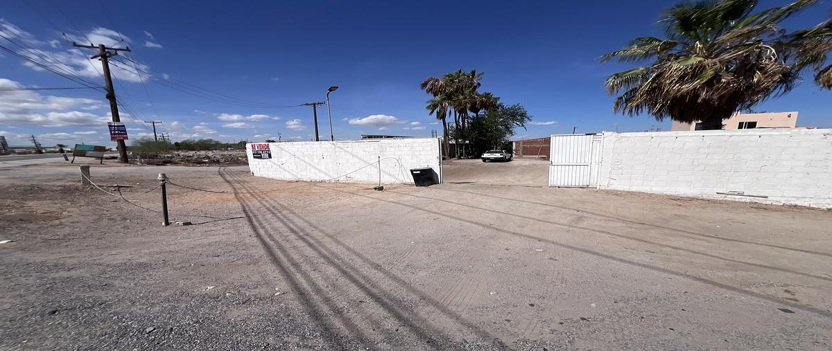 Foto de terreno habitacional en venta en uno , chametla, la paz, baja california sur, 0 No. 04