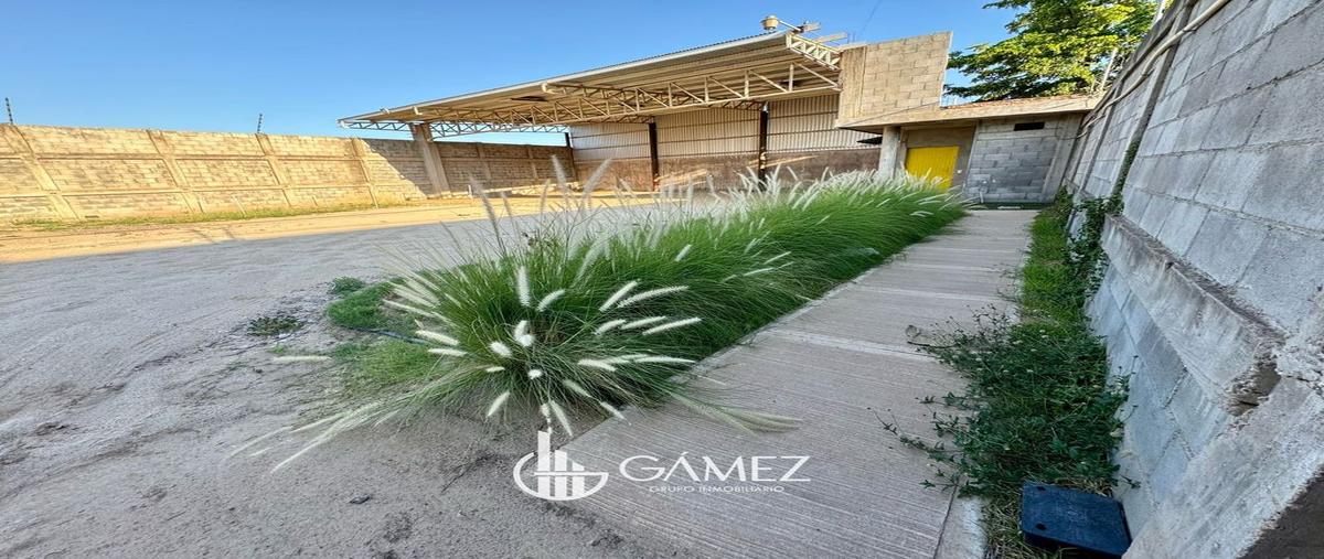 Foto de bodega en renta en urales norte , barrio de san luis, culiacán, sinaloa, 28184691 No. 04