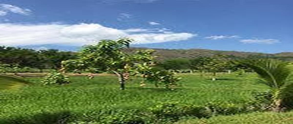 Foto de casa en venta en úrsulo galván , úrsulo galván, villaflores, chiapas, 0 No. 04