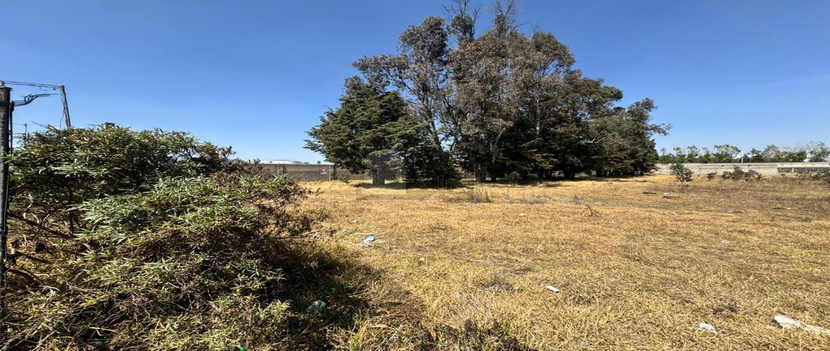 Foto de terreno comercial en venta en uruapan 10, la michoacana, metepec, méxico, 30766445 No. 04