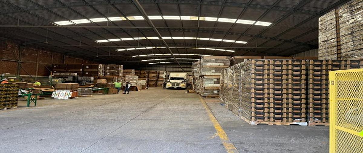 Foto de bodega en uruapan , ampliación san rafael, uruapan, michoacán de ocampo, 0 foto 02 Foto de bodega en renta en uruapan , ampliación san rafael, uruapan, michoacán de ocampo, 0 No. 02