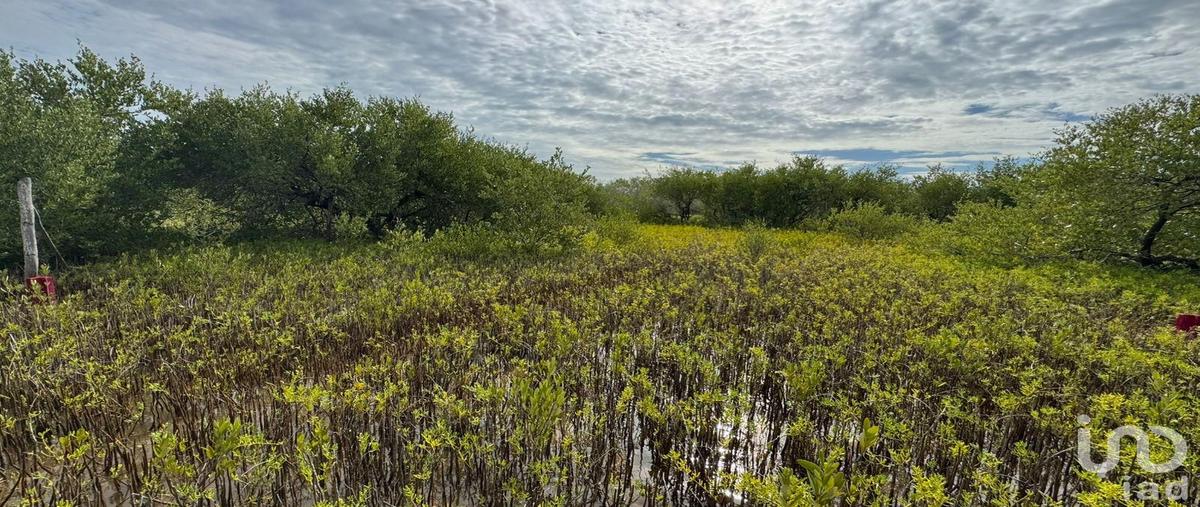 Foto de terreno habitacional en venta en uva de mar 147, isla de holbox, lázaro cárdenas, quintana roo, 31721640 No. 03