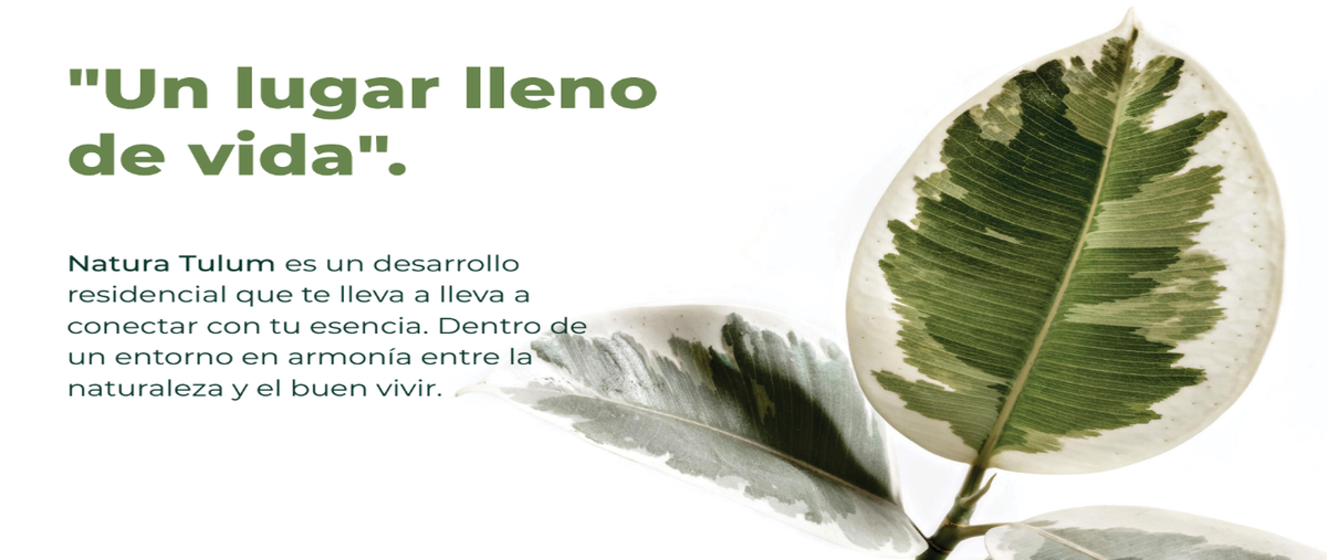 Foto de terreno habitacional en venta en v , region 15 kukulcan, tulum, quintana roo, 30625301 No. 03