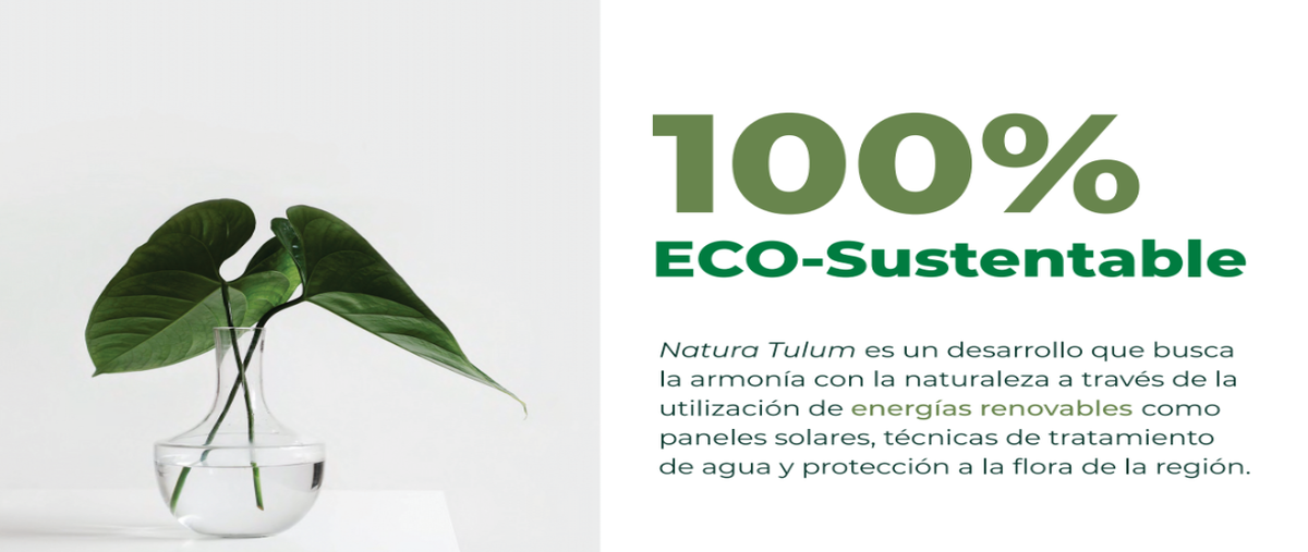 Foto de terreno habitacional en v , region 15 kukulcan, tulum, quintana roo, 30625317 foto 02 Foto de terreno habitacional en venta en v , region 15 kukulcan, tulum, quintana roo, 30625317 No. 02