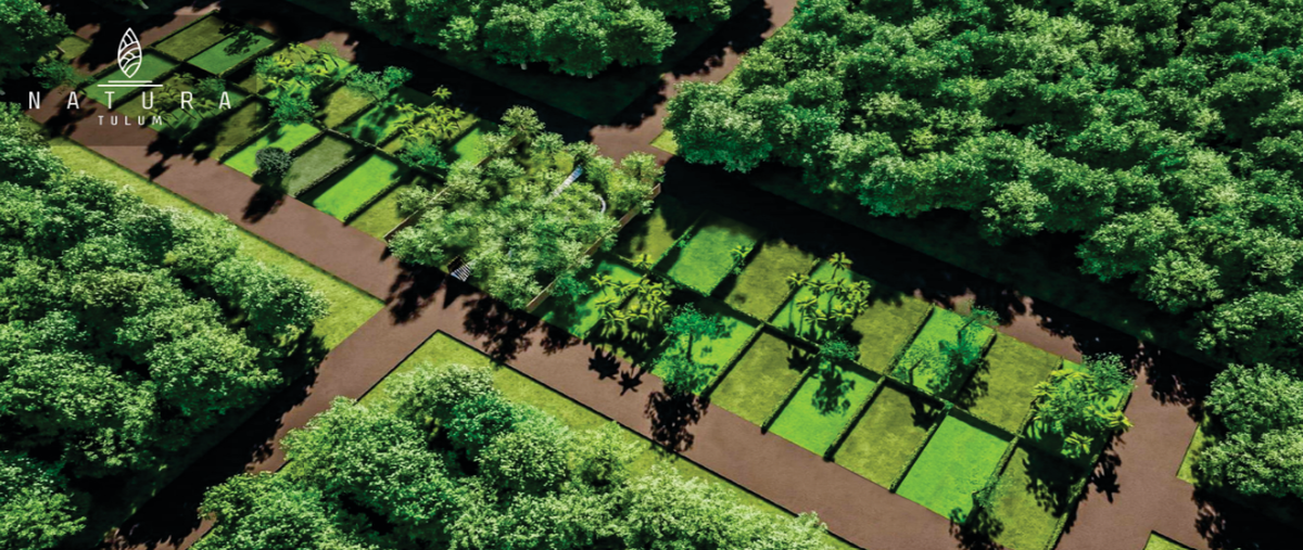 Foto de terreno habitacional en v , region 15 kukulcan, tulum, quintana roo, 30625317 foto 03 Foto de terreno habitacional en venta en v , region 15 kukulcan, tulum, quintana roo, 30625317 No. 03