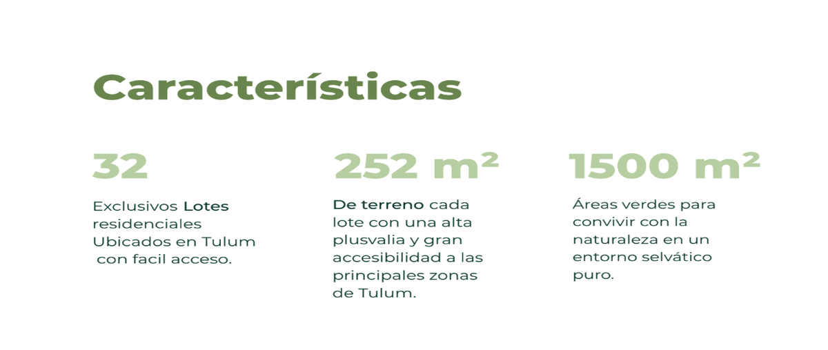 Foto de terreno habitacional en v , region 15 kukulcan, tulum, quintana roo, 0 foto 02 Foto de terreno habitacional en venta en v , region 15 kukulcan, tulum, quintana roo, 0 No. 02