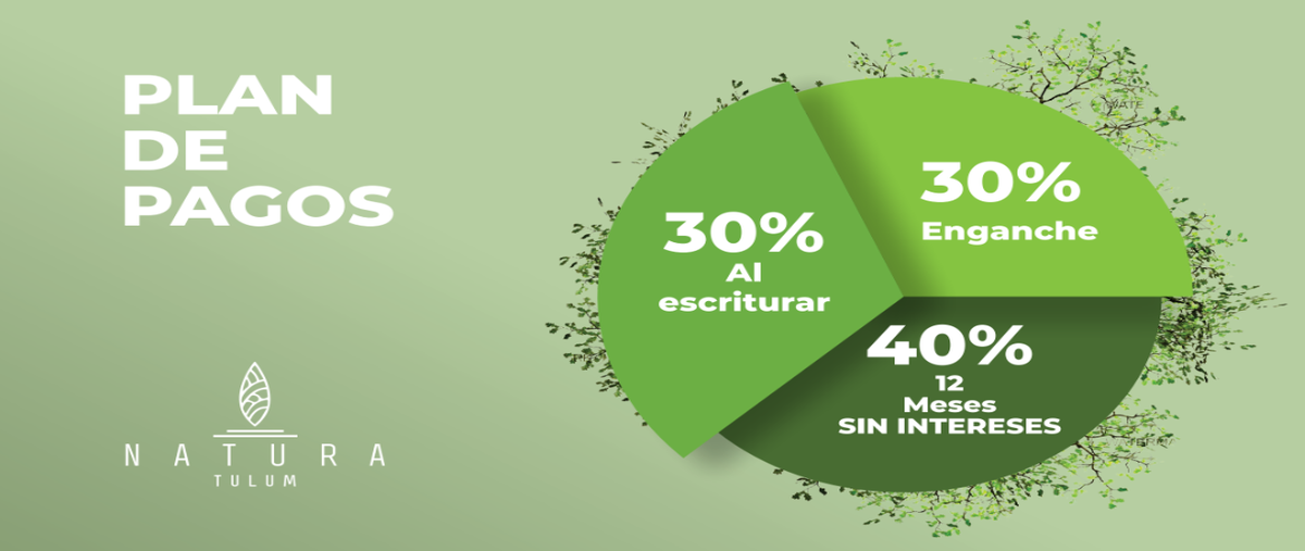 Foto de terreno habitacional en v , region 15 kukulcan, tulum, quintana roo, 0 foto 05 Foto de terreno habitacional en venta en v , region 15 kukulcan, tulum, quintana roo, 0 No. 05