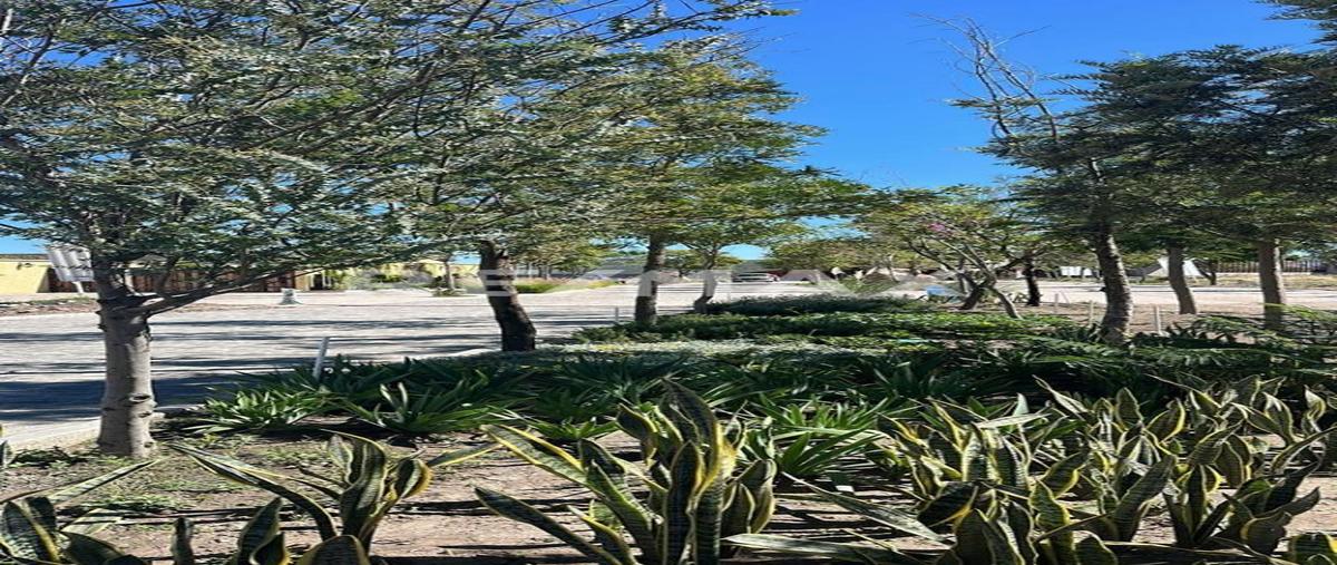 Foto de terreno habitacional en venta en v7gw+jp alcocer, guanajuato, mexico , alcocer, san miguel de allende, guanajuato, 30233453 No. 05