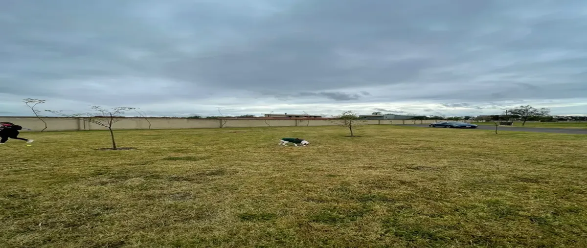 Foto de terreno habitacional en venta en  , val quirico, tetlatlahuca, tlaxcala, 0 No. 03