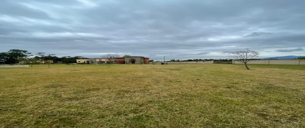 Foto de terreno habitacional en venta en  , val quirico, tetlatlahuca, tlaxcala, 0 No. 05